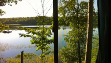 x Cabin view_0